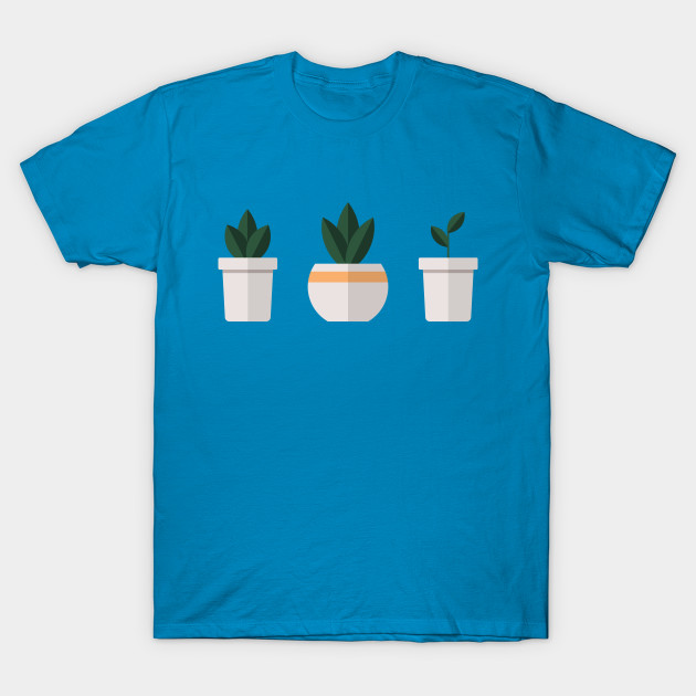 Potted Plants